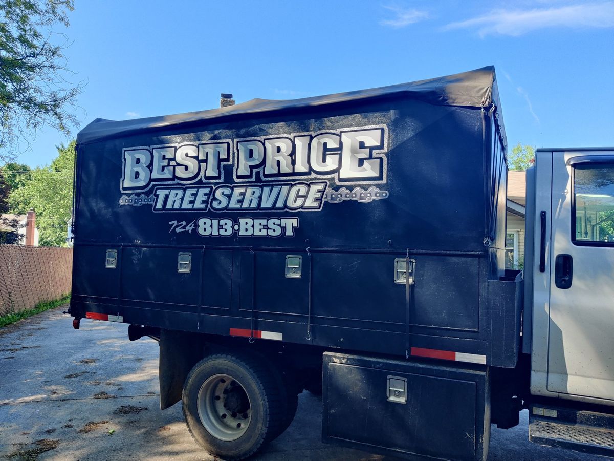 Chip truck graphics — Chip truck lettering